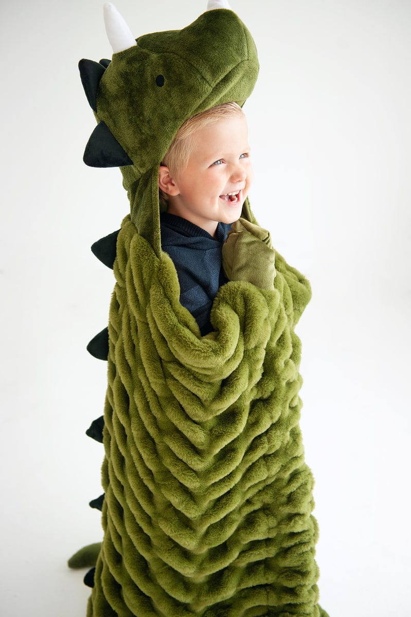 Dinosaur minky blanket best sale